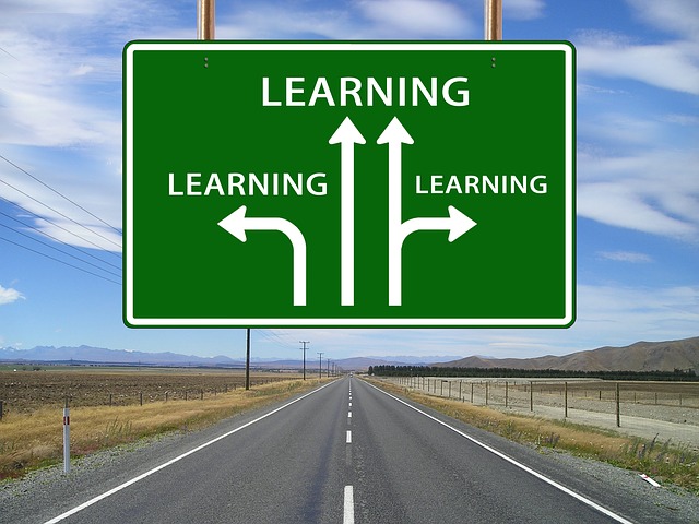 Tips for Surviving Your Dissertation: Dissertation Help